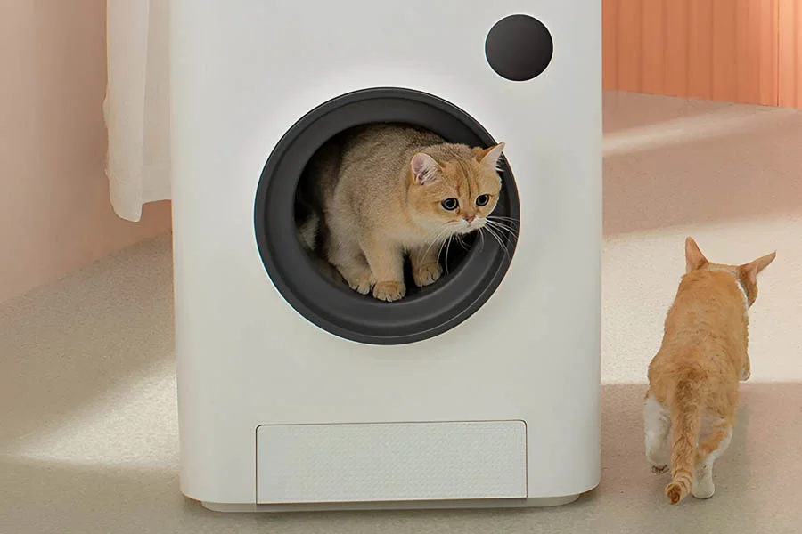 auto scoop litter box