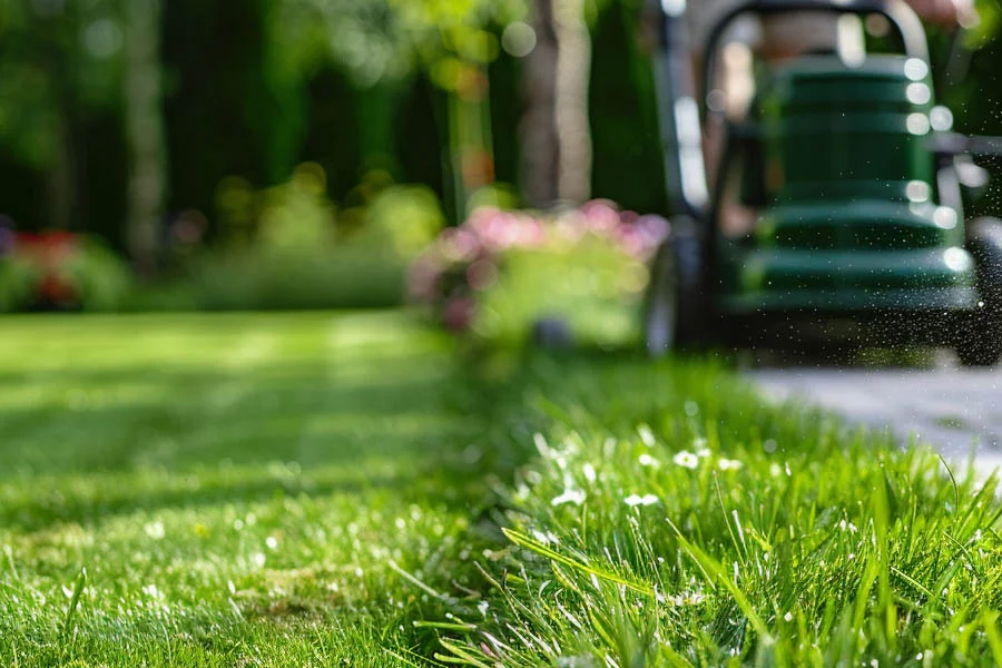 lithium battery mower